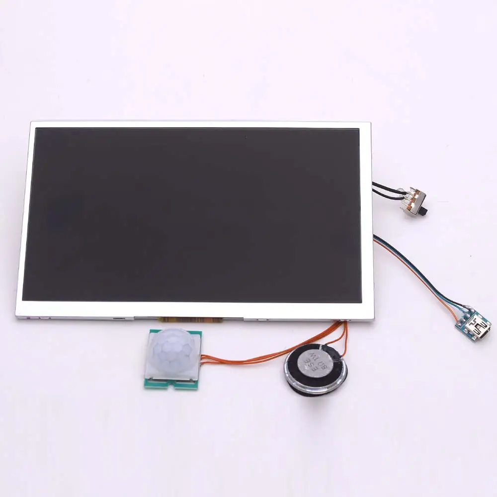 Pir Motion Sensor Video Module